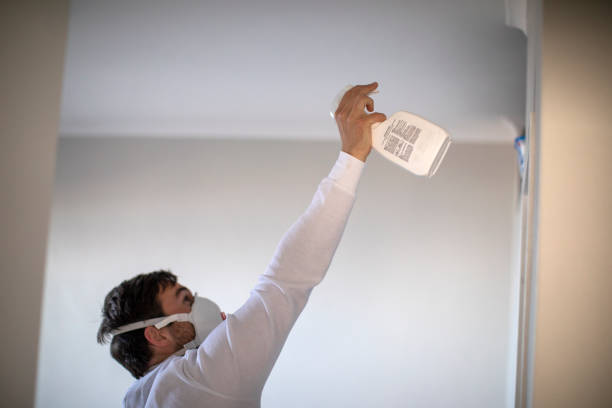 Best Mold Testing and Inspection Services in Auburn, MI