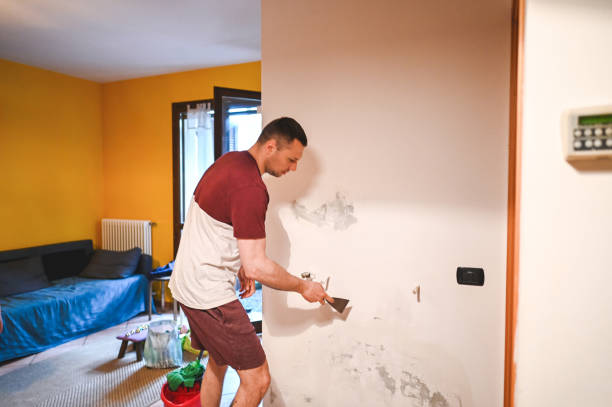 Best Post-Remediation Services in Auburn, MI