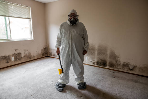 Best Bathroom Mold Remediation in Auburn, MI